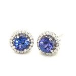 EVD000630001 Tanzanite White Gold Stud Diamond Earring