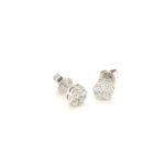 Cluster Stud 18k White Gold Diamond Earring E10005