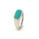 2311-RTURQ-D- Turquoise Stone Silver Ring 925sil
