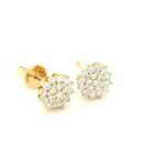 Flw-Ear002 18K Yellow Gold Rositas Diamond Earring