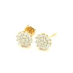 Flw-Ear002 18K Yellow Gold Rositas Diamond Earring